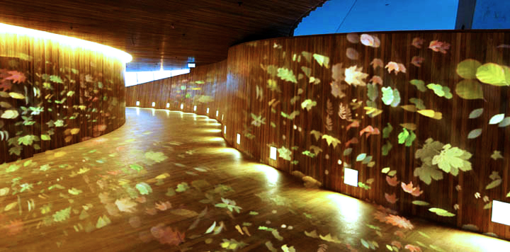 Opera Corridor Lit With the GoboPro LED projector with Sattered Leaves Gobos.